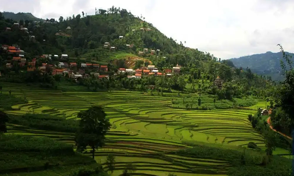 Balthali to Namobuddha Trekking