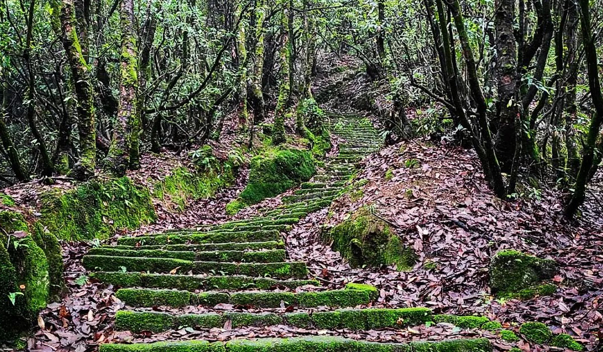 Best time to go on Shivapuri Day Hiking