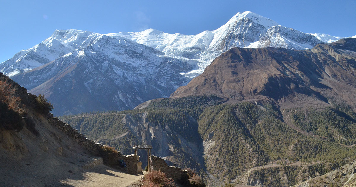Choosing the right Trekking agency