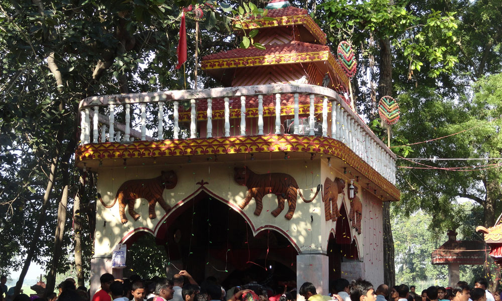 Gadhimai Festival