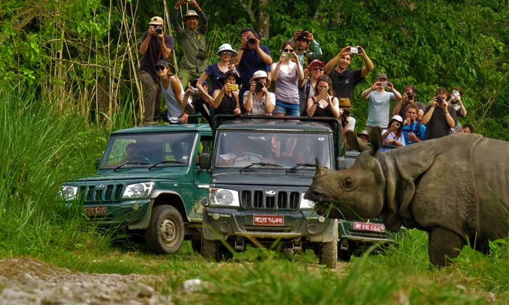 Jungle Safari in Nepal