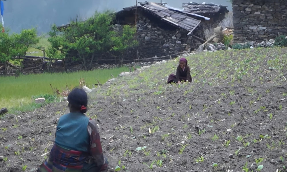 Manaslu Circuit Trek problems after Earthquake