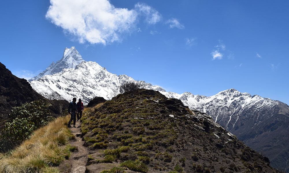 mardi himal trek