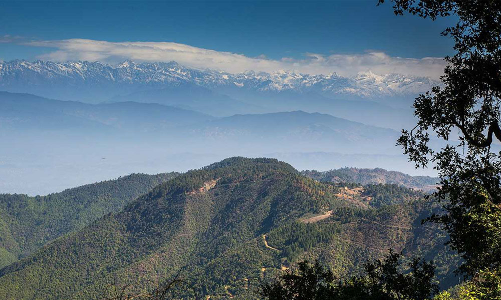 Phulchowki Day Hiking