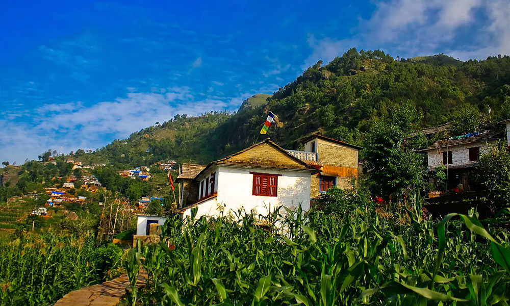 Sirubari Village Trekking
