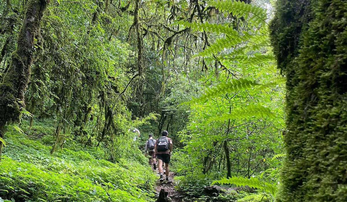 Things to remember during Shivapuri Day Hiking