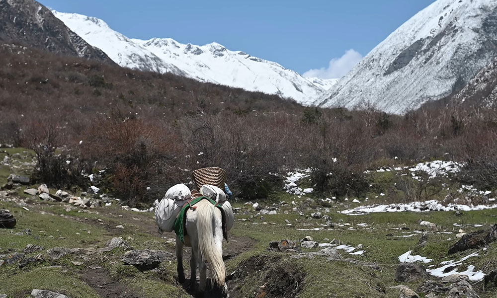 Around Manaslu Circuit Trekking