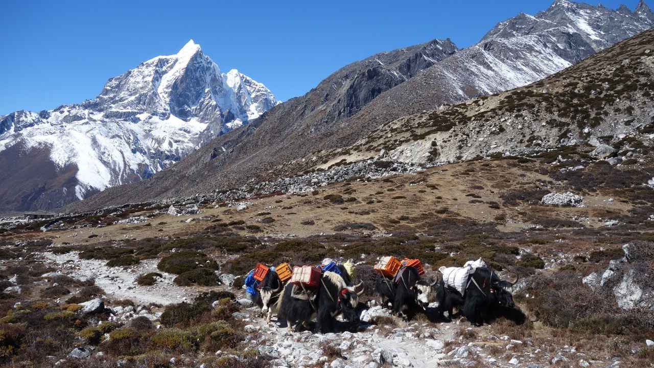 Beautiful Everest Base Camp Trail