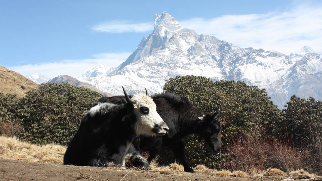 Weather Condition of Mardi Himal Trek in Autumn September October November