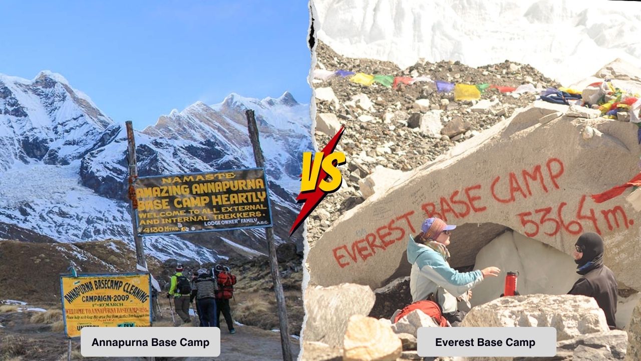 Annapurna vs Everest trek for beginners