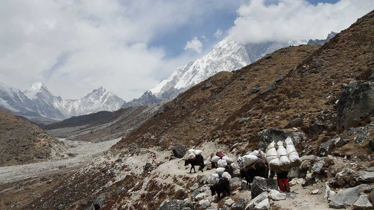 Can You Do Everest Base Camp Trek Without Porter
