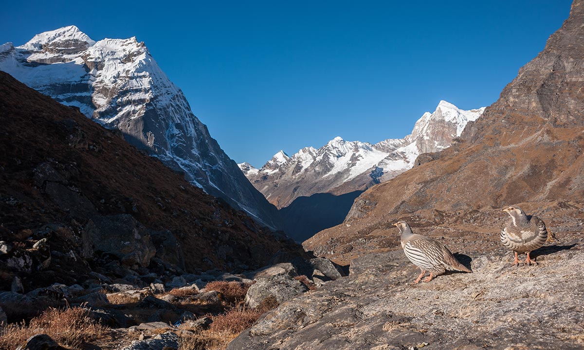 Mera Peak Climbing 16 days